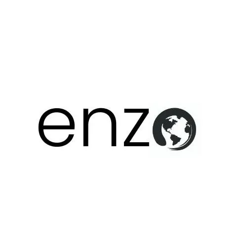 Enzo - an insurance service startup