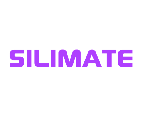 Silimate - Co-pilot for chip designers