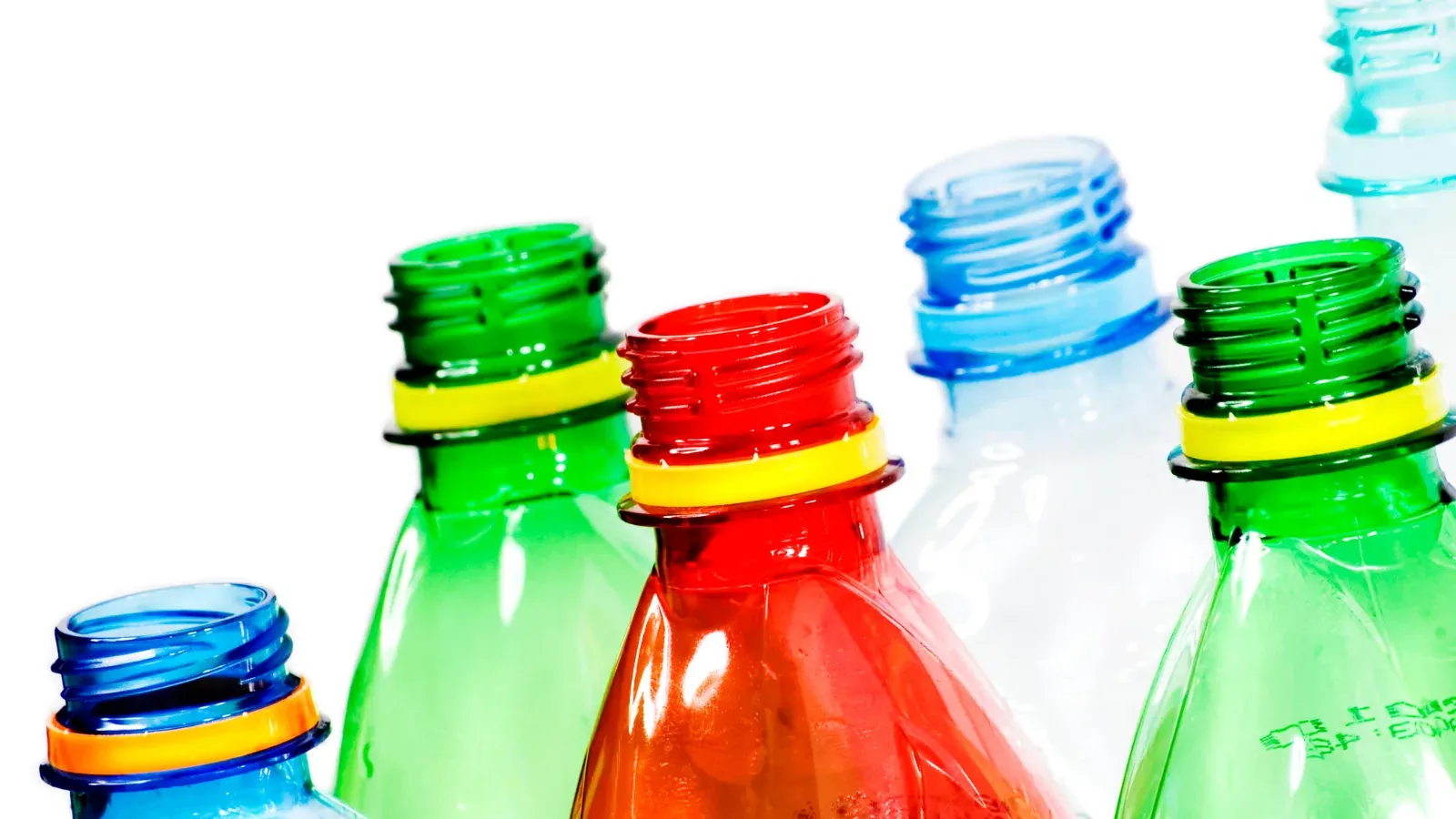 Can Birch Biosciences Revolutionize Plastic Recycling with Engineered Enzymes?