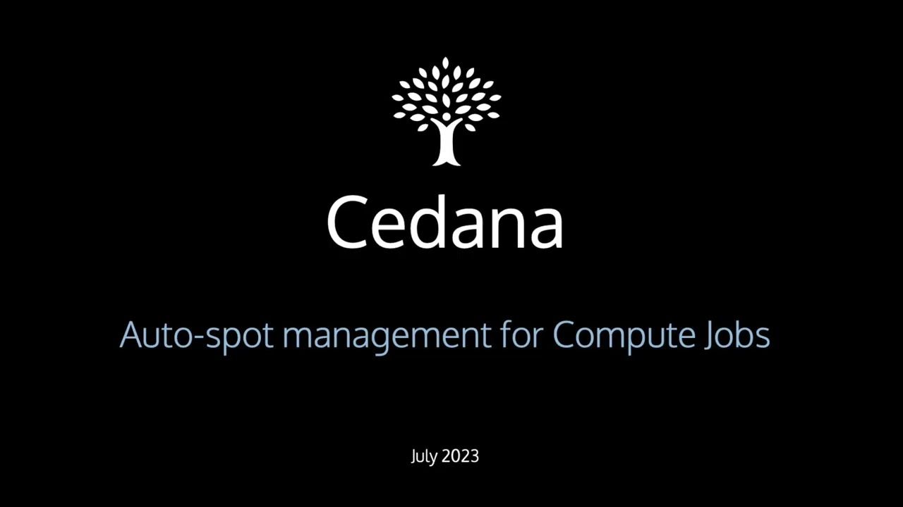 Cedana - Real-time save, move and resume for compute